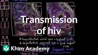 Transmission of HIV  Infectious diseases  NCLEXRN  Khan Academy [upl. by Lenssen]