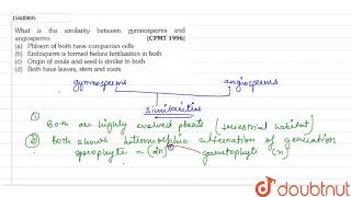 What is the similarity between gymnosperms and angiosperms [upl. by Simsar]