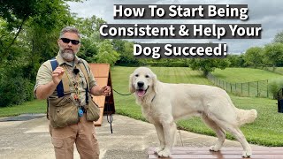 Improve Your DogTraining Skills By Being A More Consistent Trainer  Demonstration With Five Dogs [upl. by Mott]