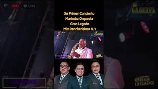 rancheritas de marimba orquesta gran legado [upl. by Hgielah63]