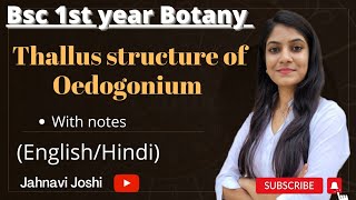 Oedogonium Thallus Structure NotesBsc 1st year Botany [upl. by Weatherby]