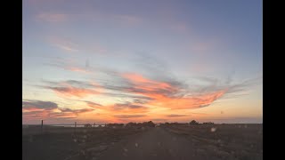 South Dakota Pheasant Hunting  2024 Opener and a Quick Hunt After Work [upl. by Laundes]