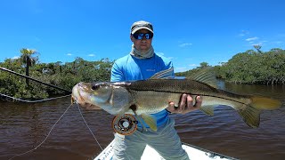 Fly Fishing Everglades Tarpon Snook and Redfish Flamingo [upl. by Assetal]