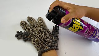 Lets get rid of millions of ticks with spray rid of pests 071 [upl. by Ahsinwad]