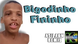 Bigodinho Fininho  AtilaKw Remix [upl. by Elleinod]