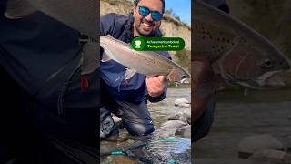 Tongariro Rainbow Trout ✅ flyfishing aotearoa newzealand [upl. by Sadye683]