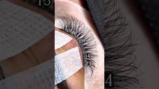 Master the Art of Eyelash Extensions  StepbyStep Tutorial [upl. by Justine696]