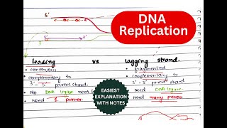 DNA Replication amp its stages  Prokaryotic DNA replication UrduHindi  Everything you need to know [upl. by Euton327]