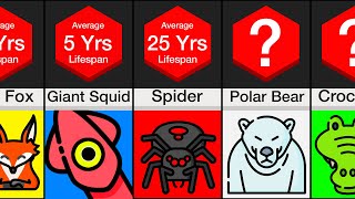 Comparison Animal Lifespans PART 2 [upl. by Bakerman764]