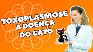 Toxoplasmose  O Que é Sintomas Causas e Tratamento [upl. by Ear266]