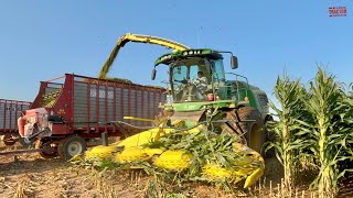 JOHN DEERE 9500i Forage Harvester Chopping Corn [upl. by Krischer]