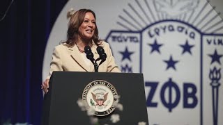 Voters react to Kamala Harris Indianapolis speech say whether theyve heard of Andy Beshear [upl. by Cariotta]