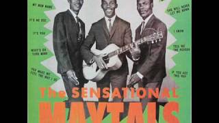 The Toots amp the Maytals  Its No Use [upl. by Anom]