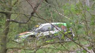 Rally Appennino Reggiano 2019 Incidente [upl. by Swart413]