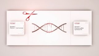 Next level CRISPR editing Cas9 RNP [upl. by Tedmund]