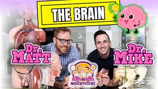 The Brain  Podcast [upl. by Richie666]