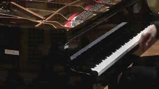 Chopin Nocturne F minor op55 no1 Premysl Berka [upl. by Ecela]