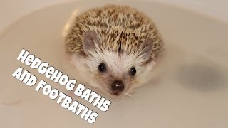 Hedgehog Care Baths and Footbaths 2014 [upl. by Humfried]