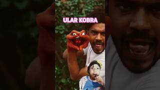 ULAR KOBRA diy viralvideo dubbing fyp funny funnyvideo shorts shortvideo like snake cobra [upl. by Ah752]