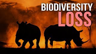 Biodiversity Loss  A Documentary [upl. by Nageet966]