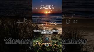 Surah AtTahreem Ayat 67 recitation translationofquran quotes QuranicReflections4all [upl. by Annoiek121]