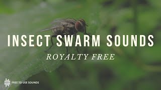 Insects amp Swarms ASMR  Insects Sound Effects Library [upl. by Suzie]