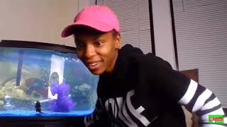 SHARK JUMPED OUT OF FISH TANK ON LIVE😱 [upl. by Odlopoel]