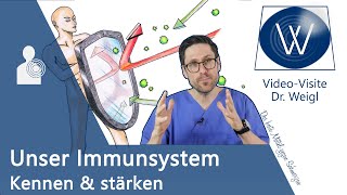 Mein Immunsystem Wie schützt es mich vor dem Coronavirus 😷 Das eigene Abwehrsystem verstehen ✅ [upl. by Alegnat]