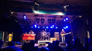 Toronzo Cannon  bluesnjazz Rapperswil  30062017  LIVE [upl. by Aurie]