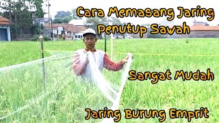 Cara Memasang Jaring Burung Emprit di Sawah dengan Mudah [upl. by Menken99]