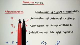 Adrenergic receptor amp their mechanism of signal transduction  Adrenergic system  Pharmacology [upl. by Yeldud]