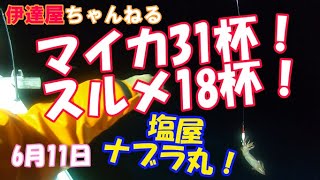 「イカメタル」これぞイカメタル！大漁ではないけど中漁！ [upl. by Laohcin]