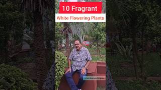 10 Fragrant White Flowering Plants for Your Garden flowers floweringplant [upl. by Enahpets]