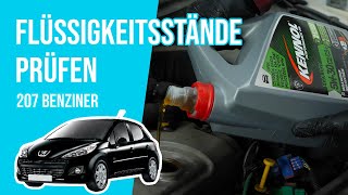 Die Flüssigkeitsstände prüfen Peugeot 207 14 8V 📏 [upl. by Yesnikcm]