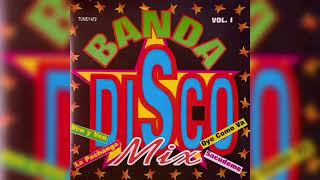 💖Banda Disco Mix  La Pachanga  Tolerados 1995💖 [upl. by Ainezey719]