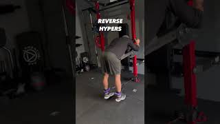 Lever Arms Back Workout Infinity Jammer Arms for Power Rack by Curls In The Rack [upl. by Aihn]