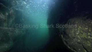 Underwater Fingals Cave [upl. by Dupaix]