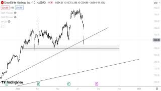 CRWD Stock Technical Analysis 210724 [upl. by Aurea]