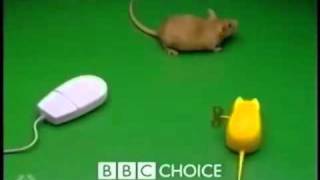 Ident Remix 22 BBC Choice Mouse vs S4C Mouse [upl. by Cristiona479]