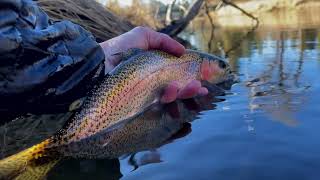 Lost Sierra Fly Guide  Middle Fork Feather River Fly Fishing [upl. by Corty]