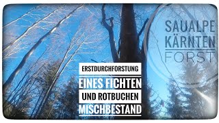 🌳🌲Rotbuchen und Fichten 12 🪵🪓 ErstdurchforstungGopro Action 🎬📽 [upl. by Elfie476]