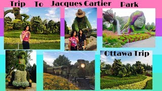 Jacques Cartier Park Quebec  Ottawa Attractions  Ottawa Trip  Fun Things to do in Ottawa [upl. by Toft]