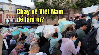 Tiểu thương Trung Quốc chen lấn đổ xô sang Việt Nam từ sớm để làm gì [upl. by Nipha]