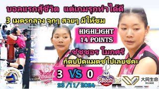 Highlight 14 Points by Chatchuon Moksri  Victorina Himeji 3 Vs 0 Rivale Astemo  SV League 2024 [upl. by Alamak]