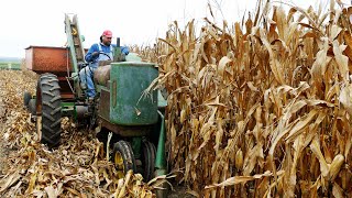 Special Vintage Tractor Corn Pickers in The Field Picking Corn [upl. by Lokin284]