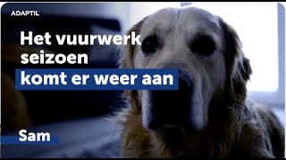 Ondersteun jouw hond dit vuurwerkseizoen op natuurlijke wijze met ADAPTIL [upl. by Anitahs825]