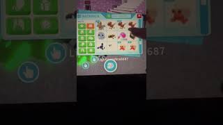 Sub to Zebra8687 He’s so sweet Thank you for watching my Biscuits adoptmepets adoptme [upl. by Aliak]