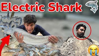 Qari Na Electric Shark 🦈 Ka Shikar Kiya 😍  Bilal Ki Halat Bohat Kharab 😭 [upl. by Werna]