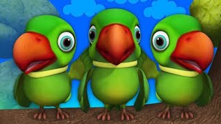 Parrot Pranks 😂🤣You Wont Believe What He SaidquotParrotPranks FunnyVideos LaughOutLoudindia fun [upl. by Cherilyn]