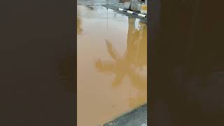 Storm Water Drain cover amp All silent Oct 3 new video [upl. by Posner404]